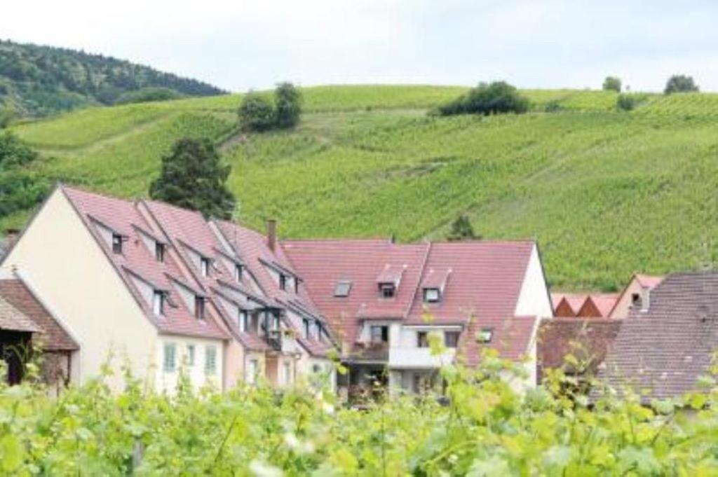 Ferienwohnung Vue Sur Vignes Riquewihr Exterior foto