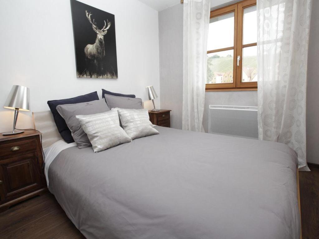 Ferienwohnung Vue Sur Vignes Riquewihr Exterior foto